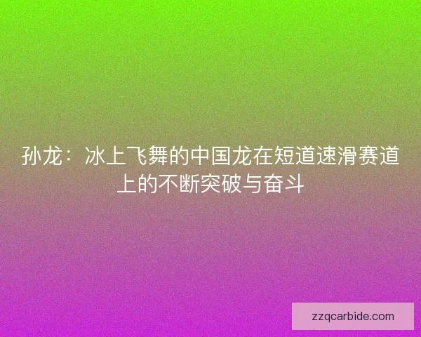 孙龙：冰上飞舞的中国龙在短道速滑赛道上的不断突破与奋斗