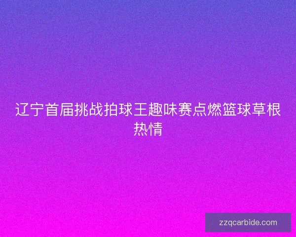 辽宁首届挑战拍球王趣味赛点燃篮球草根热情